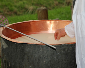 cheesemaker checks with hand the milk's temperature inside the c