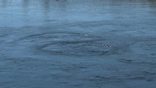 Lake Pupu springs at the westcoast, New-Zealand