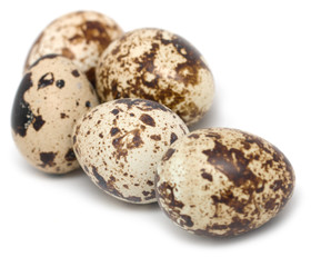 quail eggs on a white background