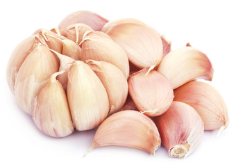 Fresh garlic
