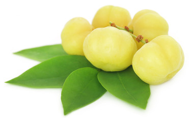 Phyllanthus acidus or Star gooseberry