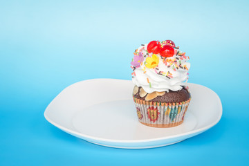 Fancy cupcake on light blue background