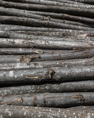 Pile of wood logs stacked