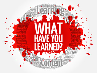 What Have You Learned? circle word cloud, business concept