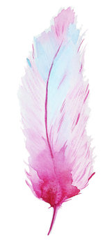 Watercolor colorful Feather