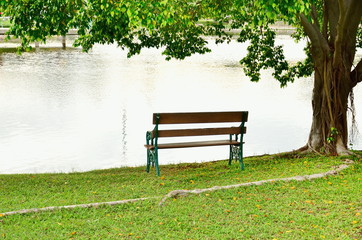Tree with bench and green grass