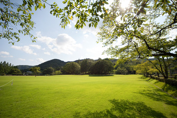 初夏の広芝生