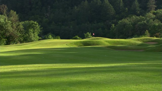 Two golfing couples approaching balls on fairway