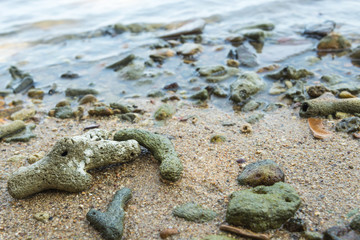 Coral Rubble formed from old dead corals that is washed up onto