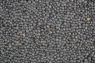 Black lentils texture