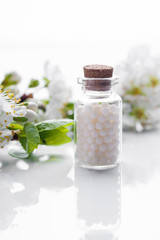 Fototapeta na wymiar homeopathic pills with spring flowers on white background