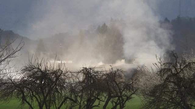 Seen from behind a screen of trees, smoke veils a burning house; firemen work close by