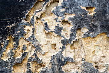texture of termite damaged wood
