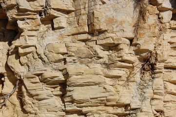 Limestone background close up 