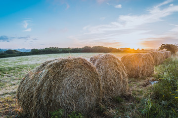 Harvest concept haystacks on sunset field