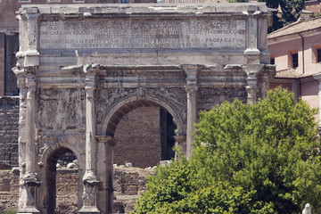 Obraz premium Frontal view of the arch of Septimius Severus