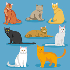 Cute cartoon kitties or cats vector set. Set of cats and cartoon illustration of domestic cat