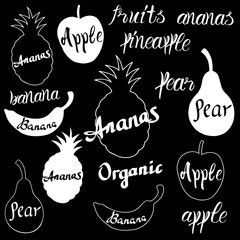 Naklejka premium Vector fruit logo.