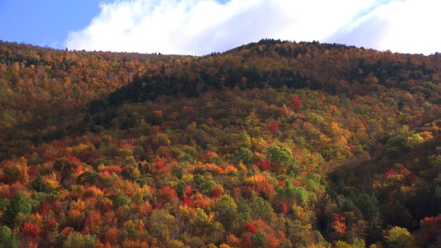 Timelapse fall colors and shadows