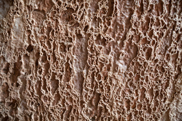 Brown stone texture relief