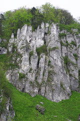 white rocks near Cracow - Poland