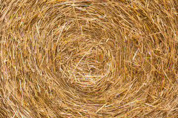 Background of yellow straw roll texture.