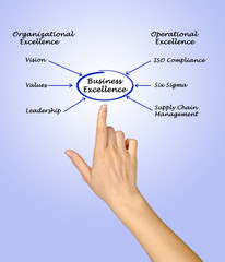 Diagram of business excellence