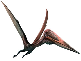 Naklejka premium Zhejiangopterus from the Cretaceous era 3D illustration