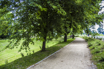Park Miejski