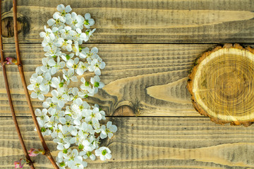 Cherry flowers and rose branch on wood