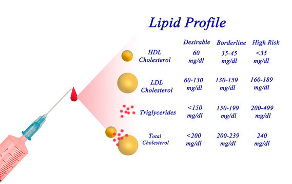 Lipid profile