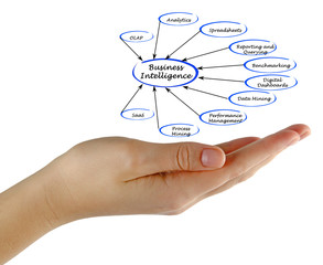 Obraz premium Diagram of Business Intelligence