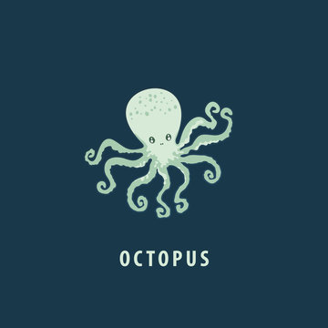 Octopus.