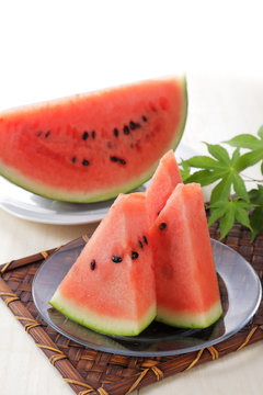 スイカ　Watermelon