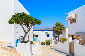 Fototapeta premium Typical street with houses in Naoussa town, Paros island, Cyclades, Greece