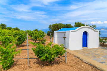 Typical Greek white church building in vineyards, Ampelas village, Paros island, Greece
