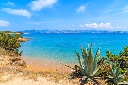 A view of beautiful beach near Santa Maria village, Paros island, Greece