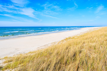Fototapeta na wymiar A view of beautiful beach grass on sand dune at Baltic Sea, Bialogora coastal village, Poland
