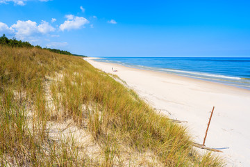 A view of beach and grass on sand dune in Lubiatowo coastal village, Baltic Sea, Poland