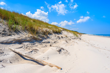 Dry tree trunk on sand dune and beach view in Lubiatowo coastal village, Baltic Sea, Poland