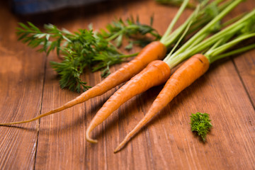 fresh raw carrot