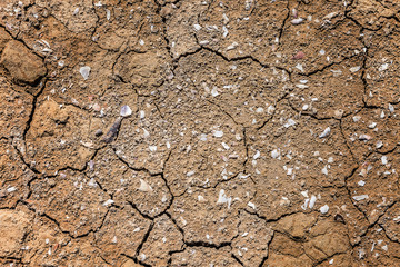 cracked broken ground texture