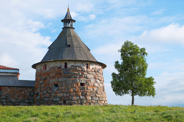 Fototapeta na wymiar Old fortress tower and tree