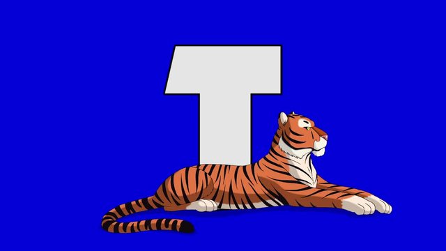 Letter T and  Tiger (foreground)	Animated animal alphabet. Motion graphic with chroma key. Animal in a foreground of a letter.