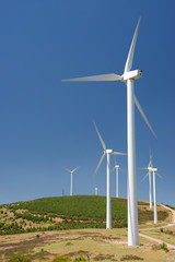 Fototapeta premium Wind energy