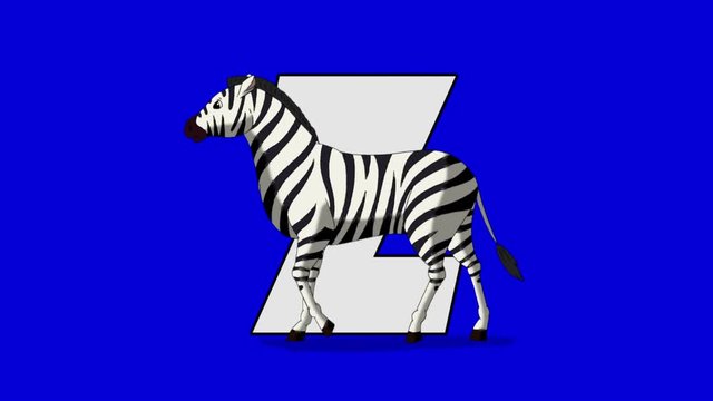 Letter Z  and  Zebra  (foreground)	Animated animal alphabet. Motion graphic with chroma key. Animal in a foreground of a letter.
