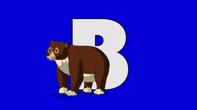 Letter B and Bear (foreground)	Animated animal alphabet. Motion graphic with chroma key. Animal in a foreground of a letter.