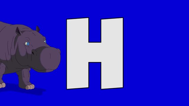 Letter H and Hippo (foreground)	Animated animal alphabet. Motion graphic with chroma key. Animal in a foreground of a letter.