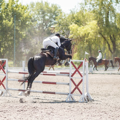 Equestrian jumping competition background