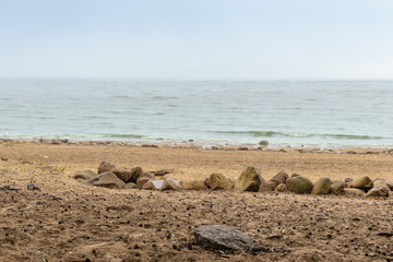 The Baltic sea beach in Repino near St Petersburg, Russia